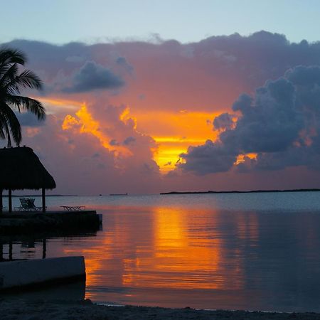 Rock Reef Resort Key Largo Eksteriør bilde