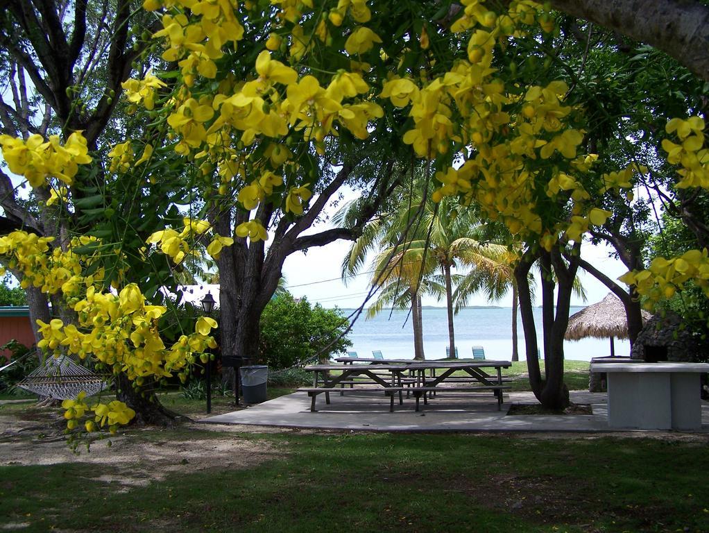 Rock Reef Resort Key Largo Eksteriør bilde