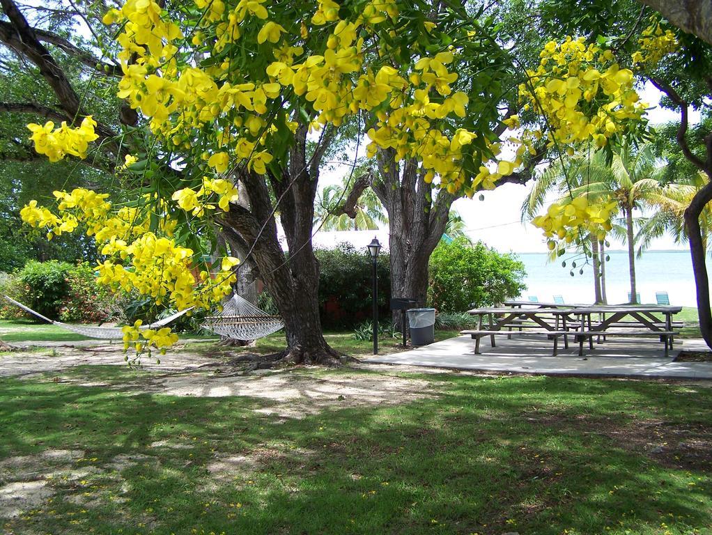 Rock Reef Resort Key Largo Eksteriør bilde