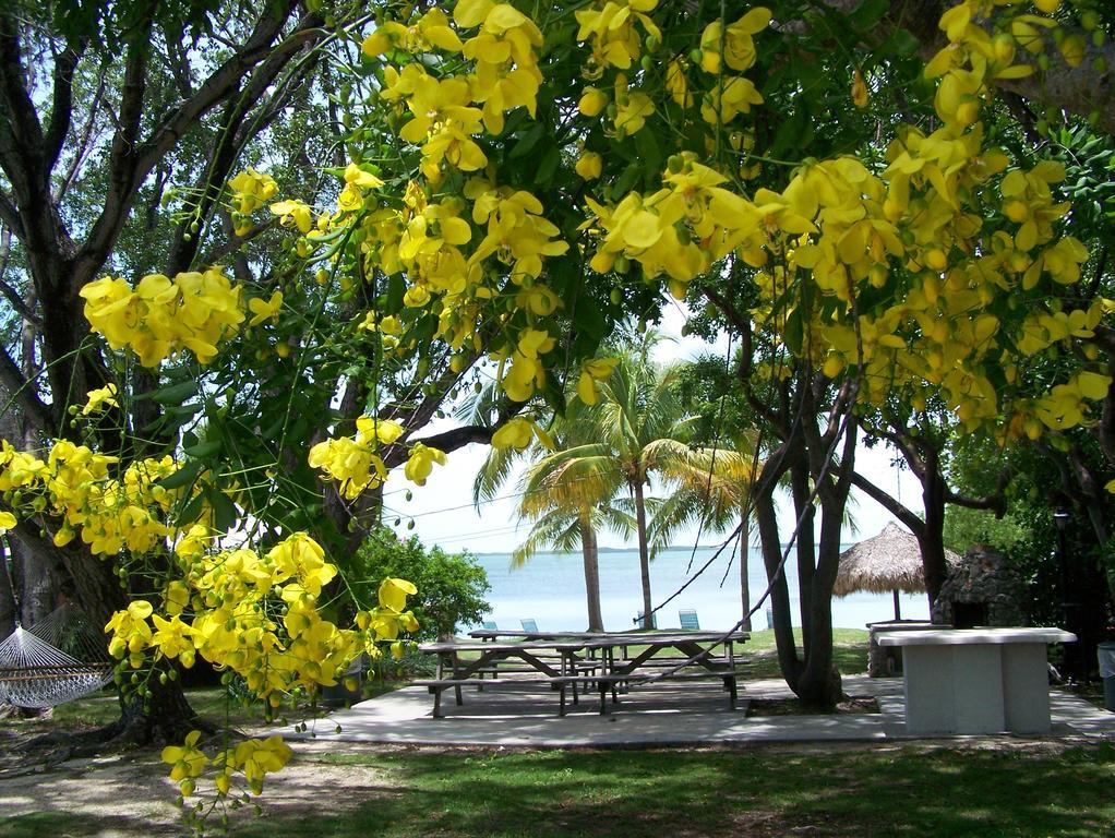Rock Reef Resort Key Largo Eksteriør bilde